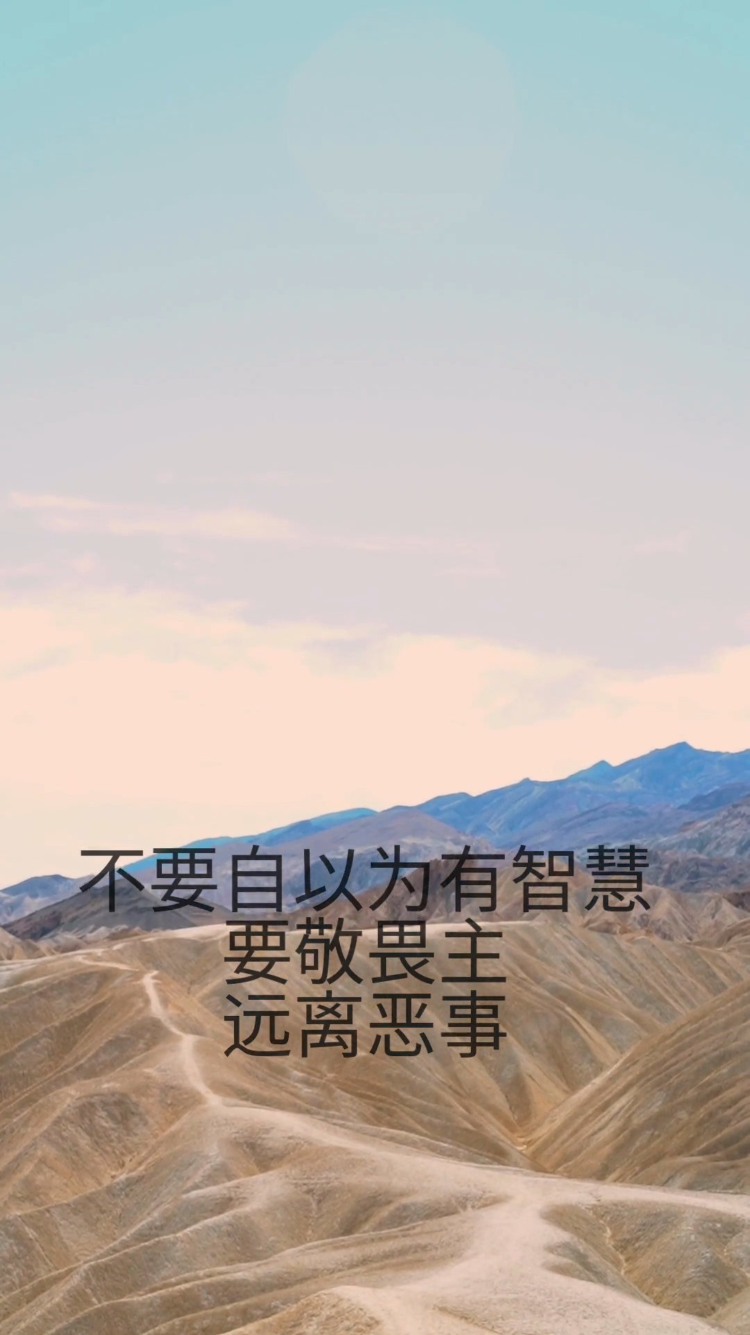 一问一思