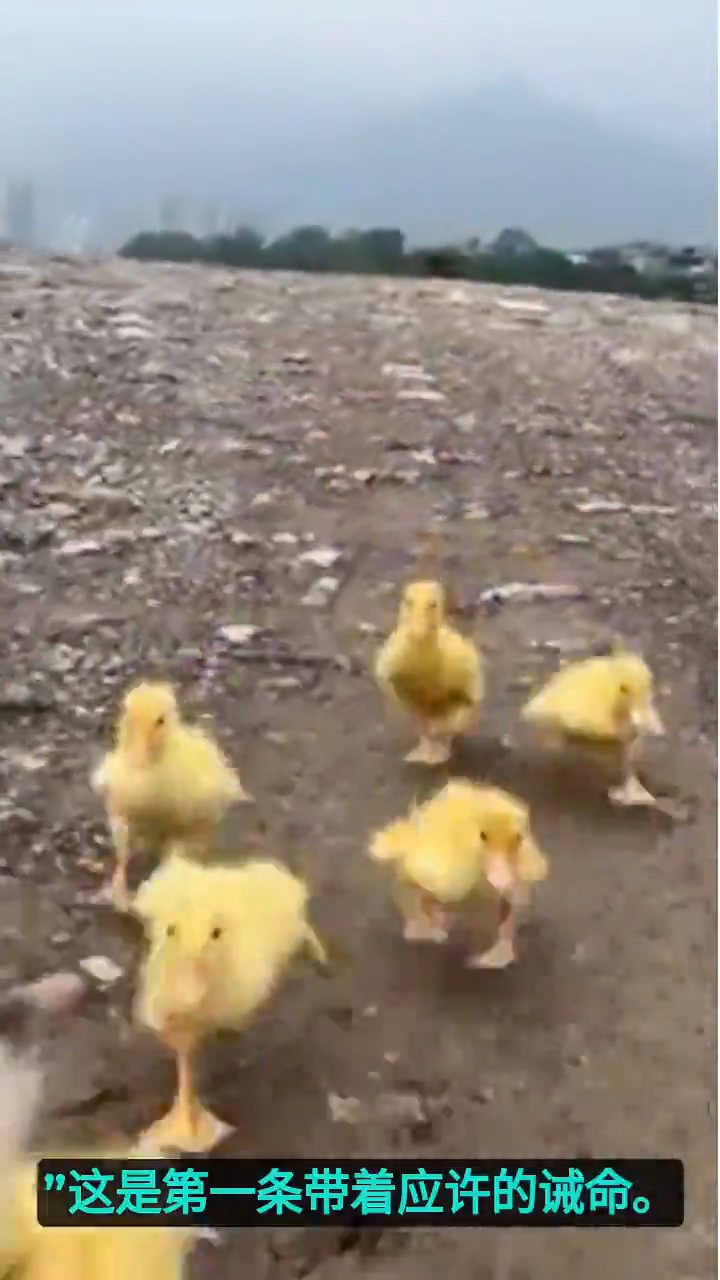 一问一思